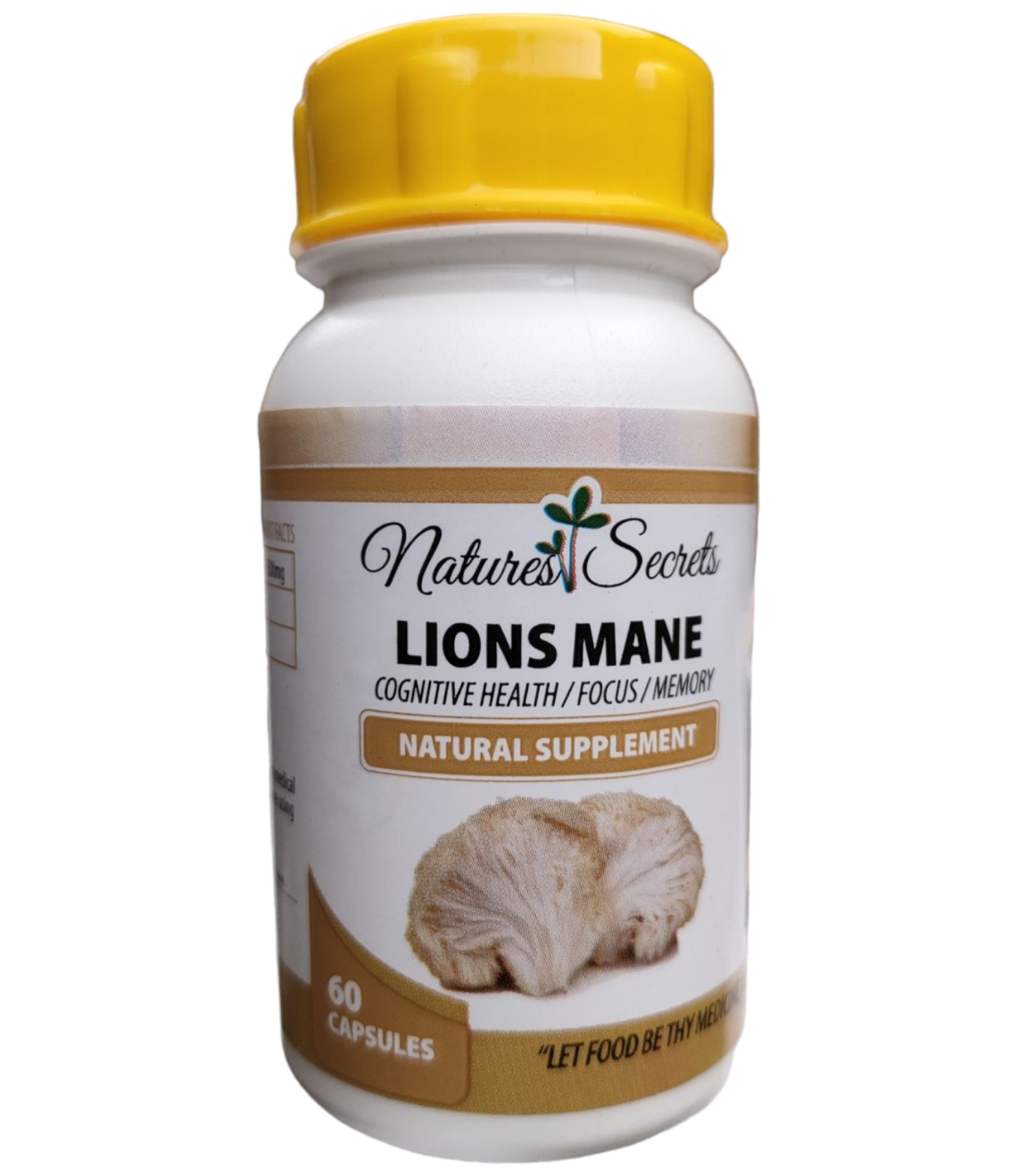 Lion mane-Photoroom